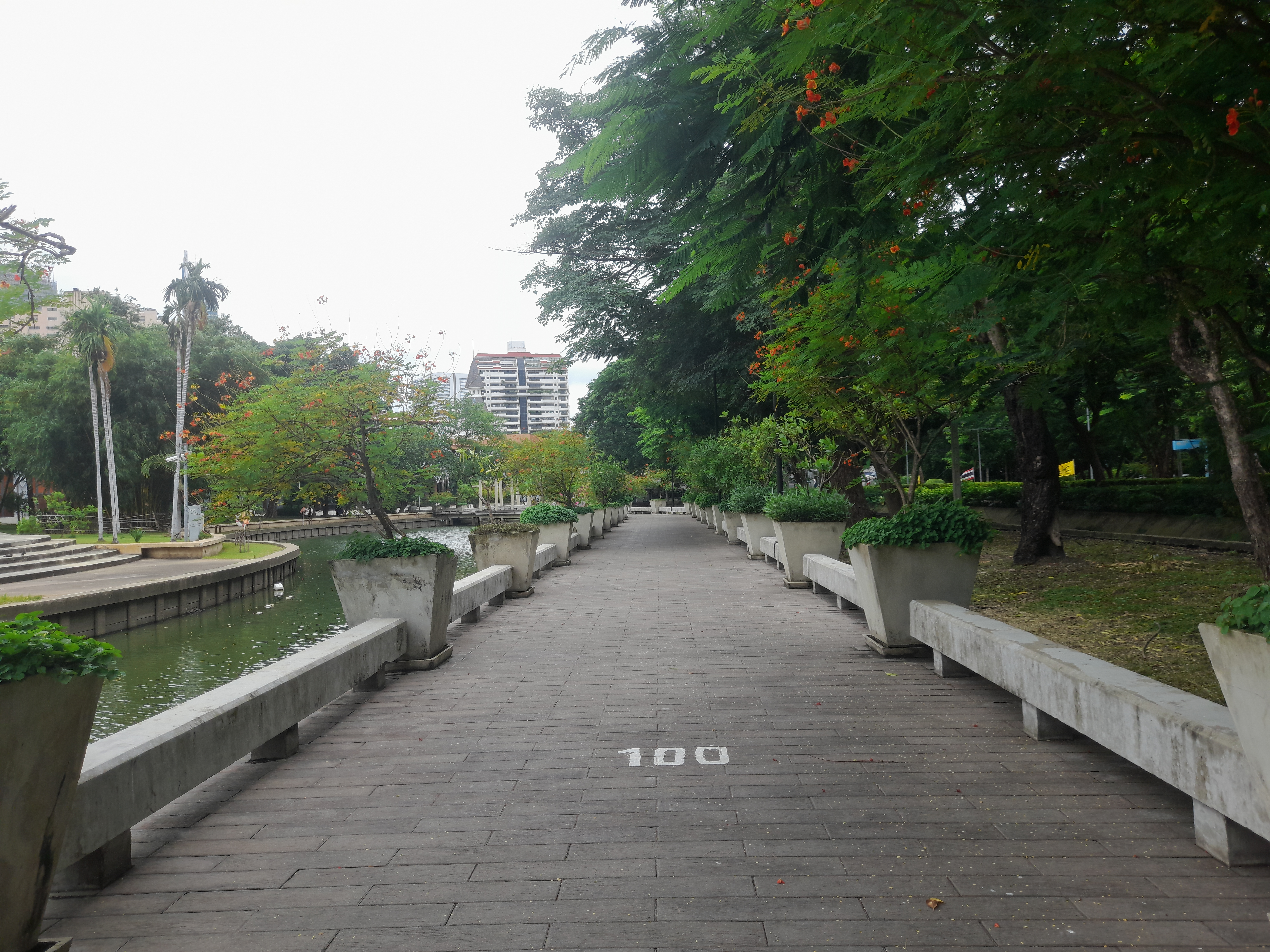 image in gallery