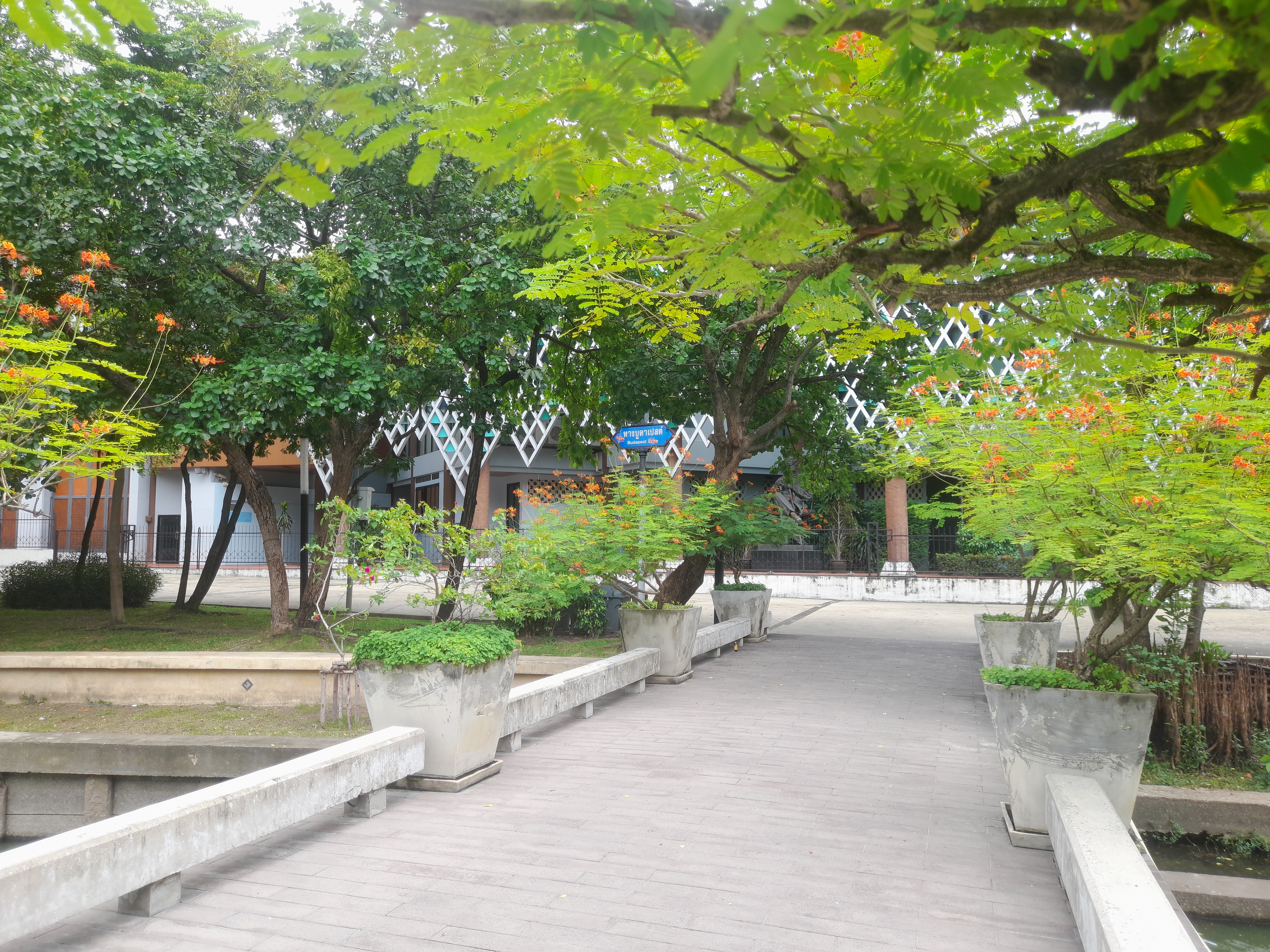 image in gallery