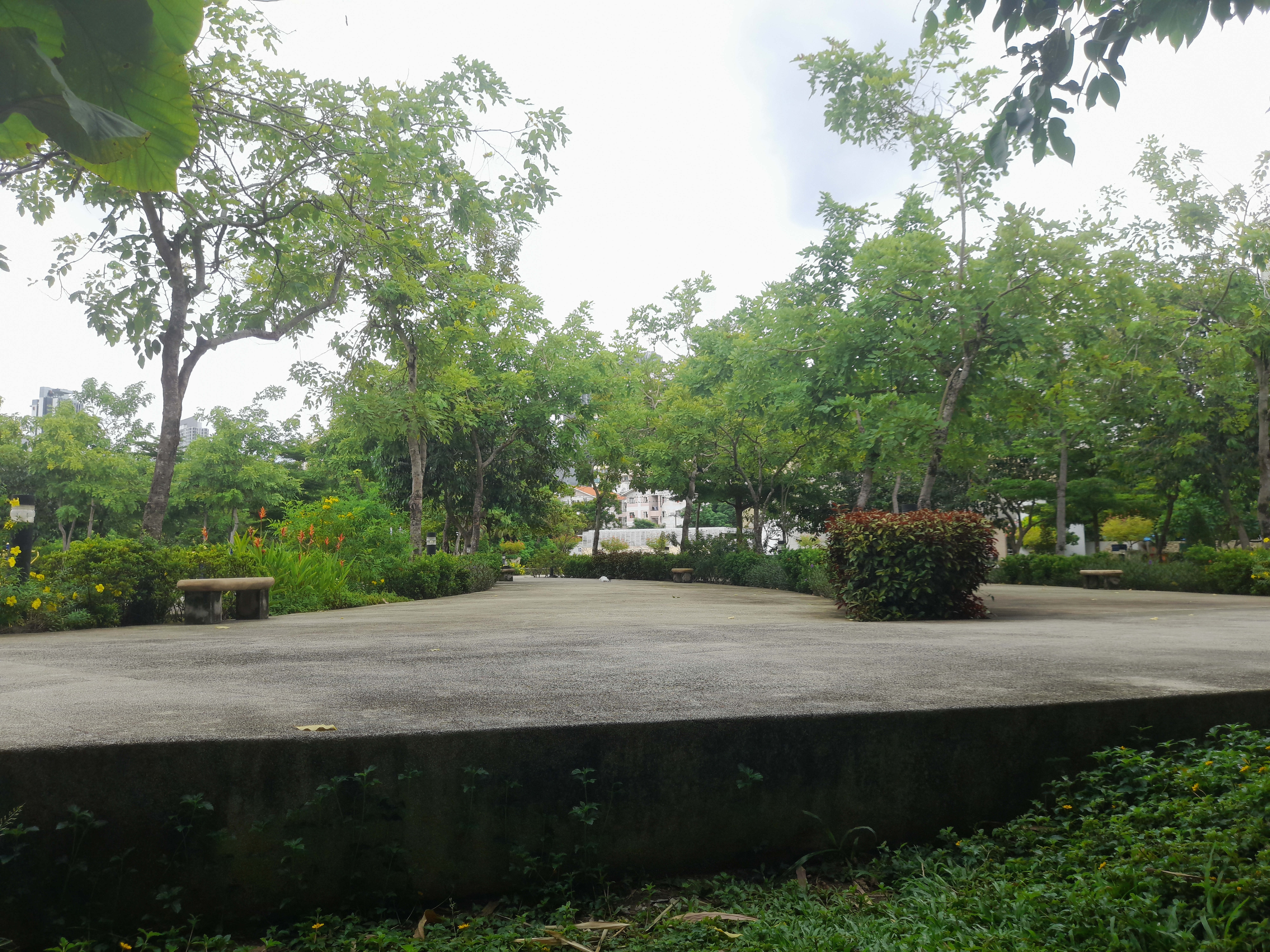 image in gallery