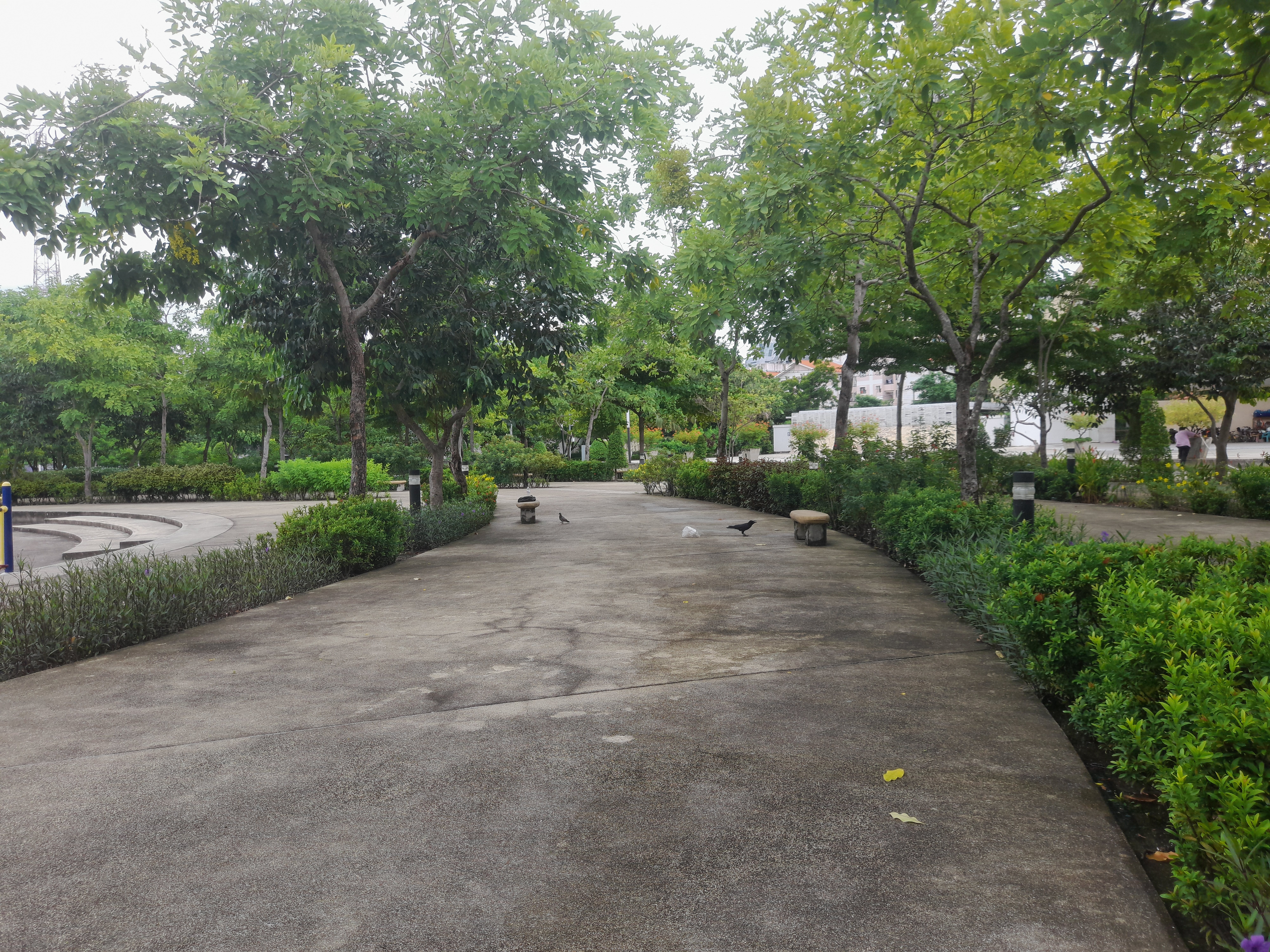 image in gallery