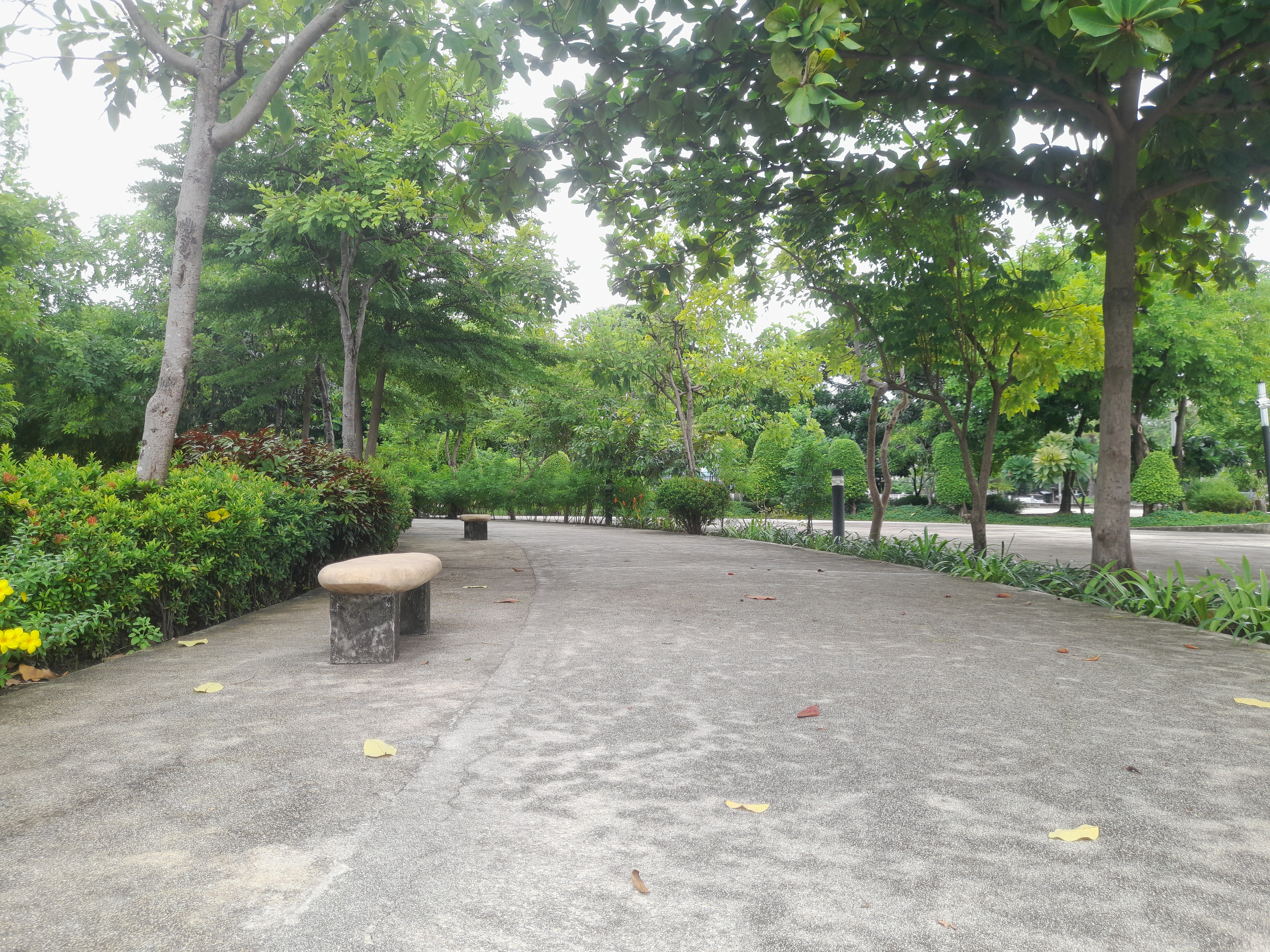 image in gallery