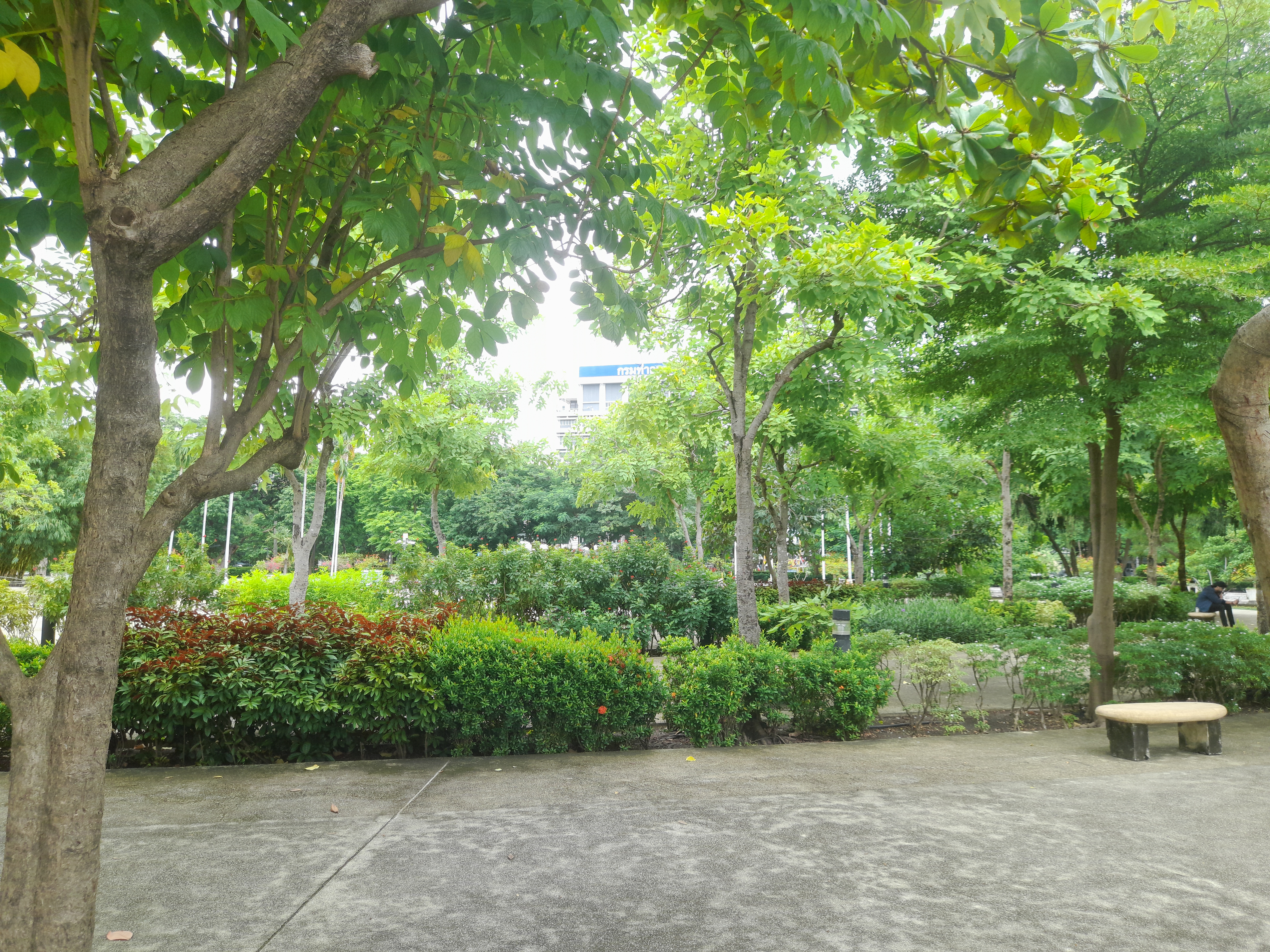 image in gallery