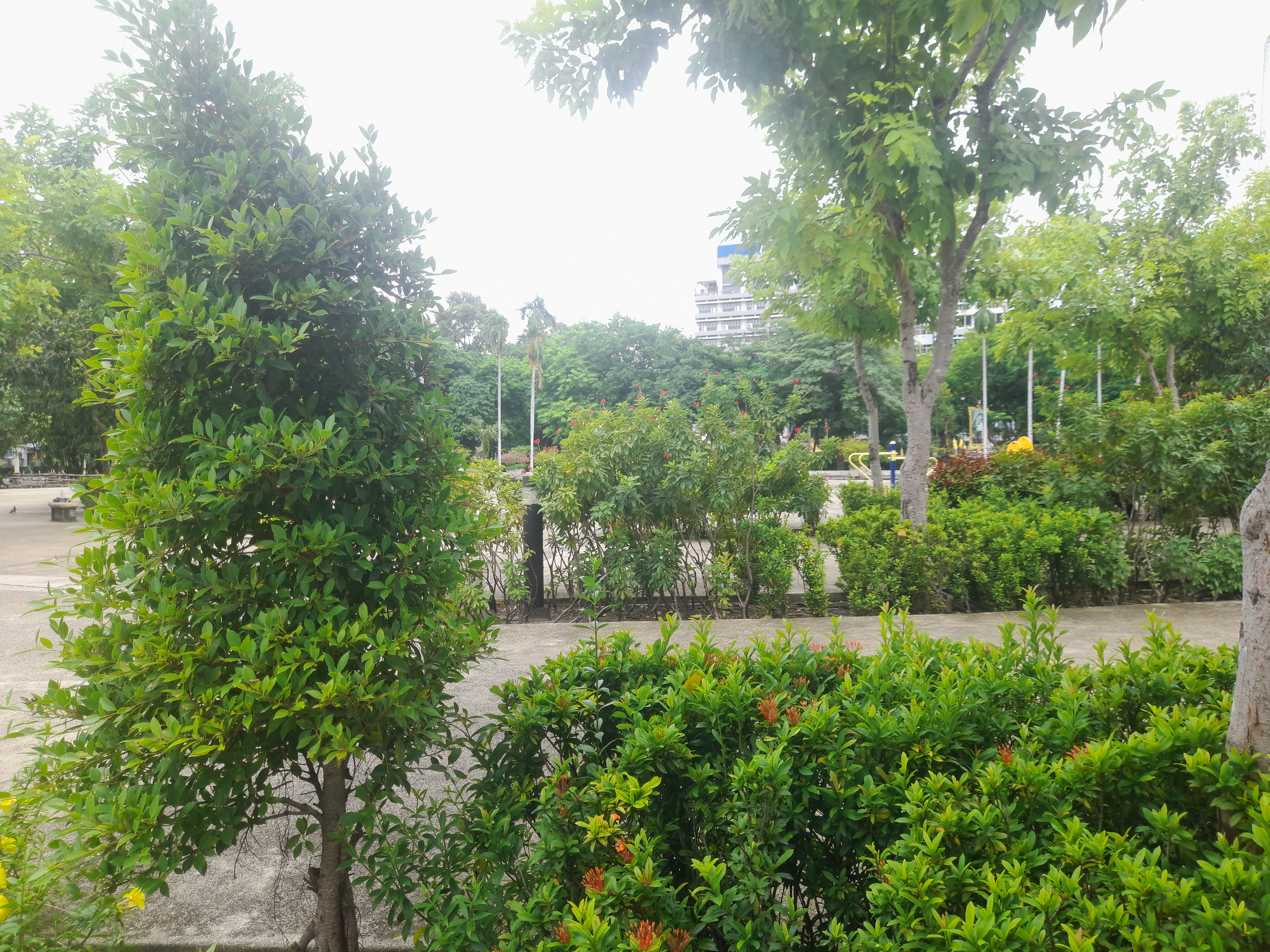 image in gallery